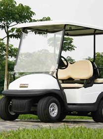 Golf Carts
